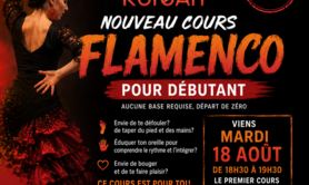 La Clemen - Cours de Flamenco - niveau débutant ou moyen