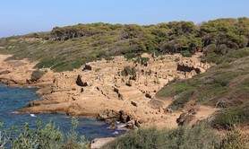 Noces et Retour à Tipasa