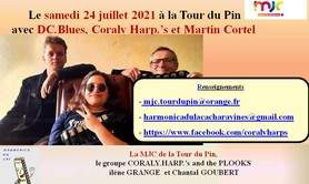 Coraly.Harp.'s and Plooks et HdLC - stage harmonica improvisation blues et rock