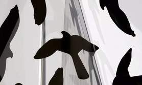 SAUVAGES Laurence Kubski