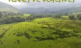 FILM - ÉCOSSE, TERRES DE LÉGENDES