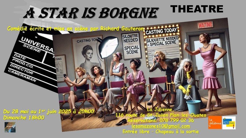 A STAR IS BORGNE une comédie satirique de R.Gauteron
