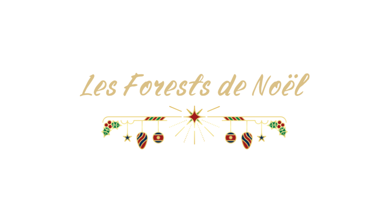 NAKAMA - Music & Friends - Les Forests de Noël