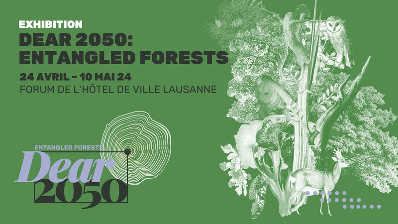 Dear2050: Entangled Forests