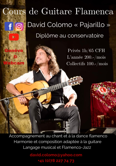 David Colomo «  Pajarillo «  - Cours de guitare Flamenca