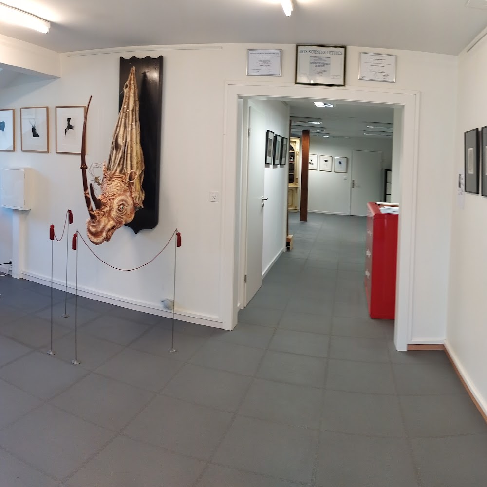 Photo de Galerie d'Art Contemporain R. Coquibus
