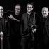 Collective Cover band - Concerts & animations musicale