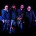 Collective Cover band - Concerts & animations musicale - Image 2
