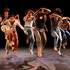 Dance Area - Audition - Formation supérieure et le Jeune Ballet - Image 2