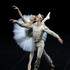 World Ballet Stars Gala — 10e édition - Image 4