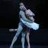World Ballet Stars Gala — 10e édition - Image 5