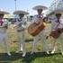 Mariachi Veracruz Suisse - Musique Mexicaine - Image 3