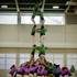 Démonstration de castells (tours humaines catalanes) - Image 2