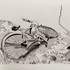 Romain Coquibus | Cours de dessin et peinture | Vaumarcus – photo 2